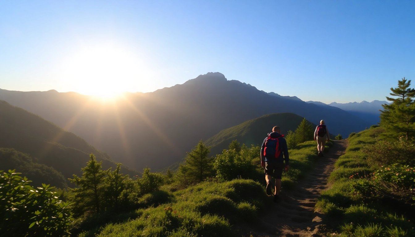 Scenic hike along mountain trail with hikers navigating through lush forest, showcasing adventure and nature's beauty.